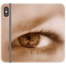 iPhone X Folio Wallet in Satin (Clear PC Insert)