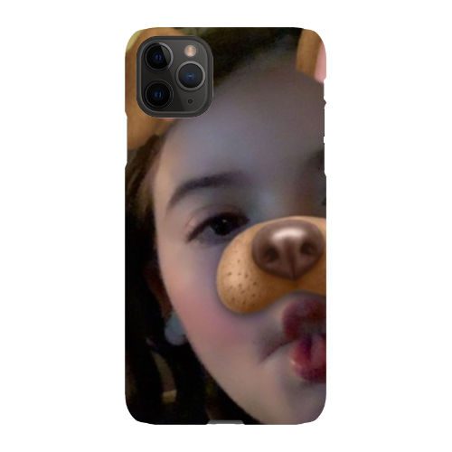 iPhone 11 Pro Max Snap Case in Gloss