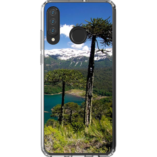 Huawei P30L JIC Type B